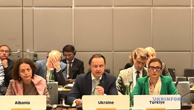 Україна в ОБСЄ: Потрібно збивати російські літаки-порушники, як це зробила Туреччина