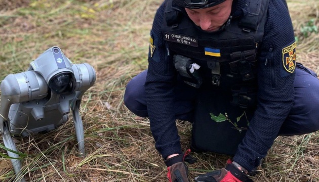 Робопес допоміг знайти касетні боєприпаси на Київщині після чергового обстрілу РФ