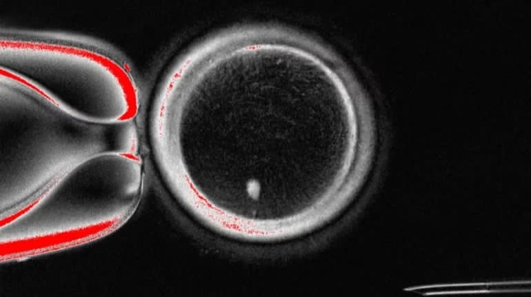 ото: theguardian.com