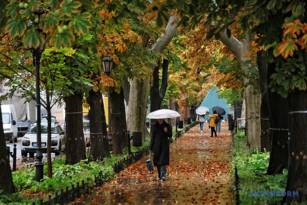 Фото: Ніна Ляшонок