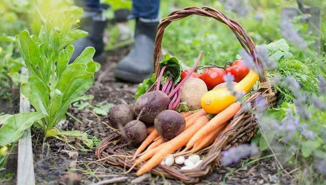 Фото: publish.com.ua