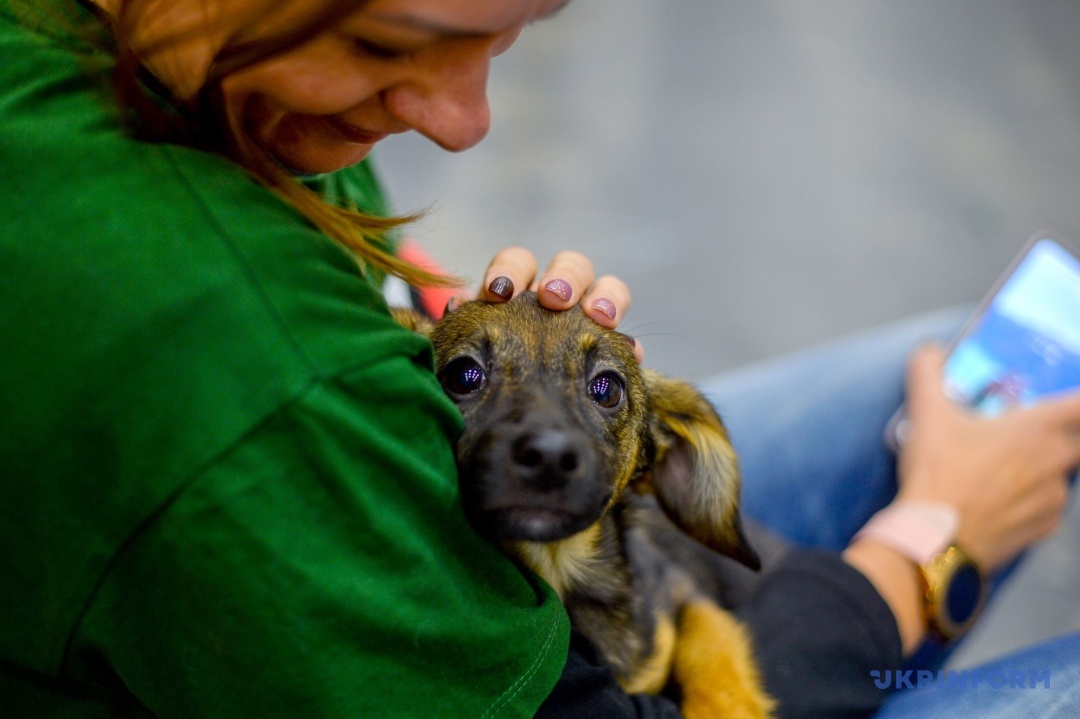 Фото: Євген Котенко