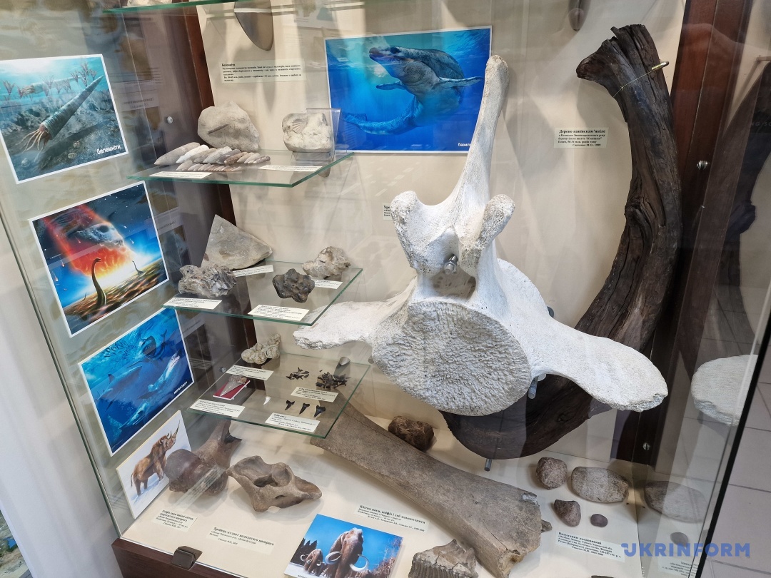 Рештки мамонта