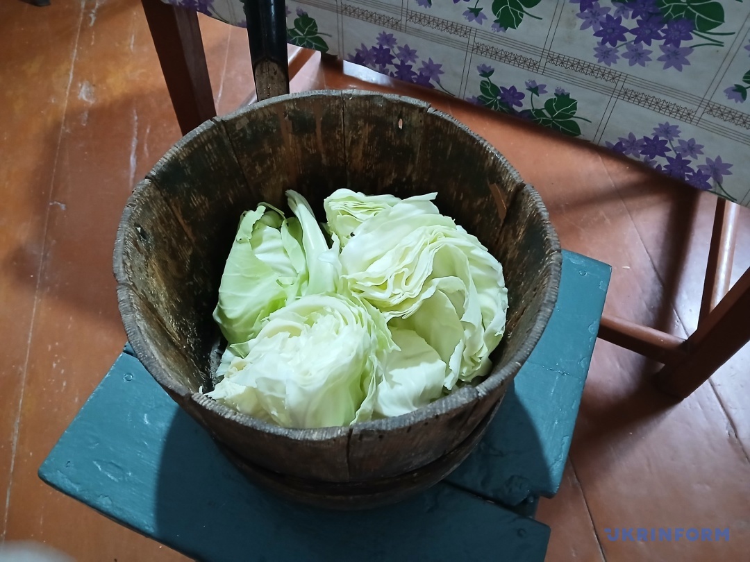 Капуста для сєчанки