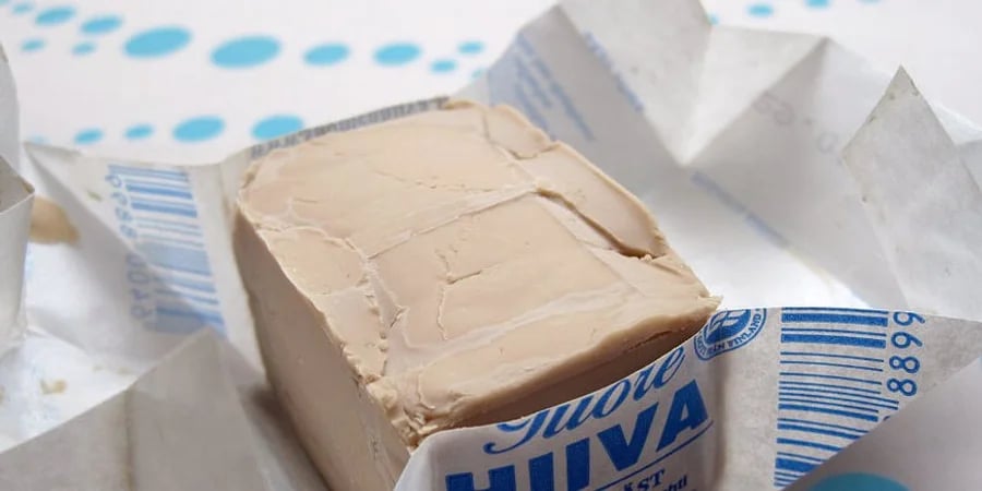 Дріжджі. Фото: es.wikipedia.org