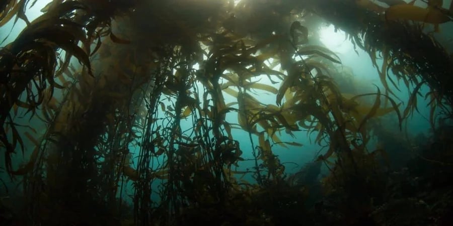 Фото: depositphotos.com