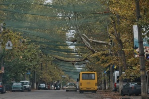 У десятках міст світу відбудуться акції на підтримку Херсона