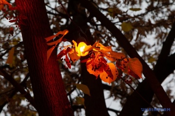 Misja ONZ odnotowała wzrost ataków na infrastrukturę energetyczną Ukrainy i dużą liczbę ofiar w październiku

