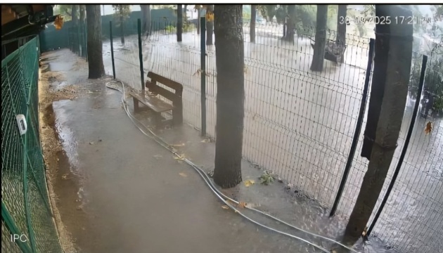 В Одесі через зливу затопило притулок для тварин