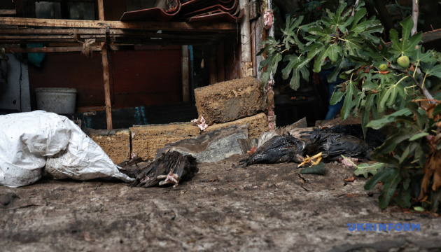 Злива в Одесі: у міськраді розповіли про масштаби пошкоджень