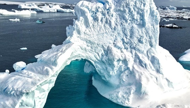 В Україні під час прокату фільму «Антарктида» зібрали понад ₴2 мільйони для «бойових пінгвінів»