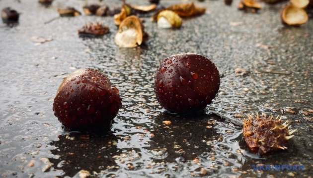 Завтра в Україні місцями дощитиме, вдень буде до +16°