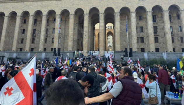 У Тбілісі протестувальники увірвалися до двору президентського палацу