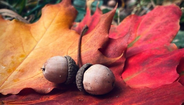 Сьогодні в Україні без опадів, удень до +12°