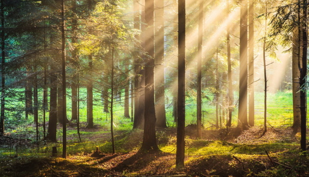 Шосте вимирання. Чому ми втрачаємо дику природу