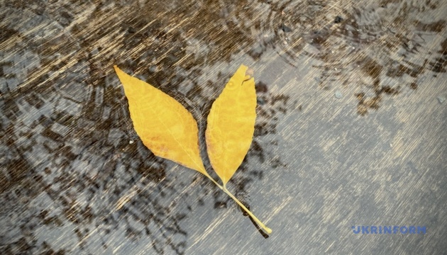 В Україні - дощі та подекуди мокрий сніг, вдень до 9° тепла