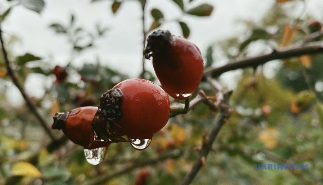Україні прогнозують відчутне похолодання у неділю