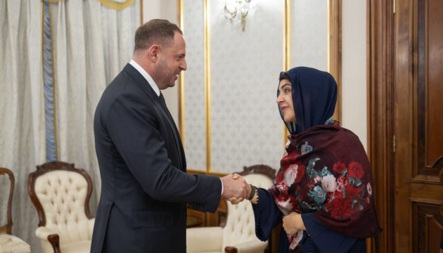 Єрмак і міністерка з міжнародного співробітництва ОАЕ обговорили інвестиції в енергетику й агросектор