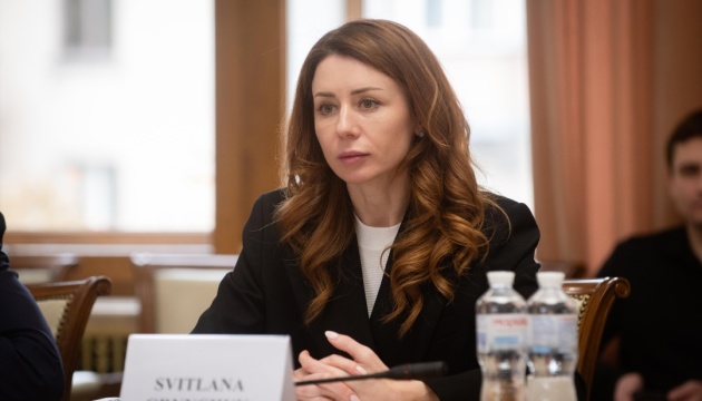 Гринчук обговорила із представниками ПРООН залучення додаткової допомоги для енергетиків