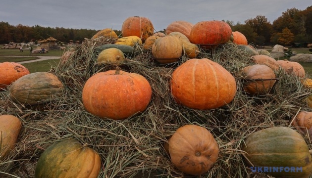 В Екопарку під Харковом стартує «Фестиваль гарбузів»