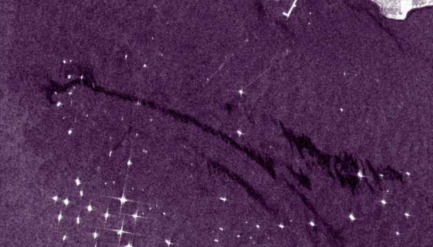 На узбережжі Дунайського біосферного заповідника виявили плями мазуту