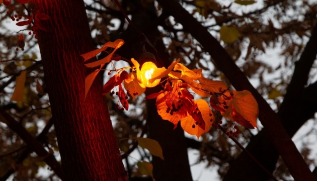 Misja ONZ odnotowała wzrost ataków na infrastrukturę energetyczną Ukrainy i dużą liczbę ofiar w październiku