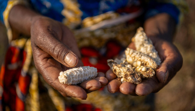 У Малаві оголосили про стан стихійного лиха через поширення голоду