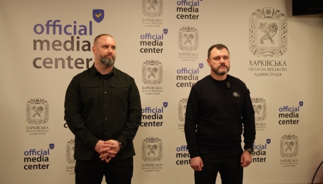 Over 90 Molniya drones shot down in Kharkiv region over past week, regional chief says