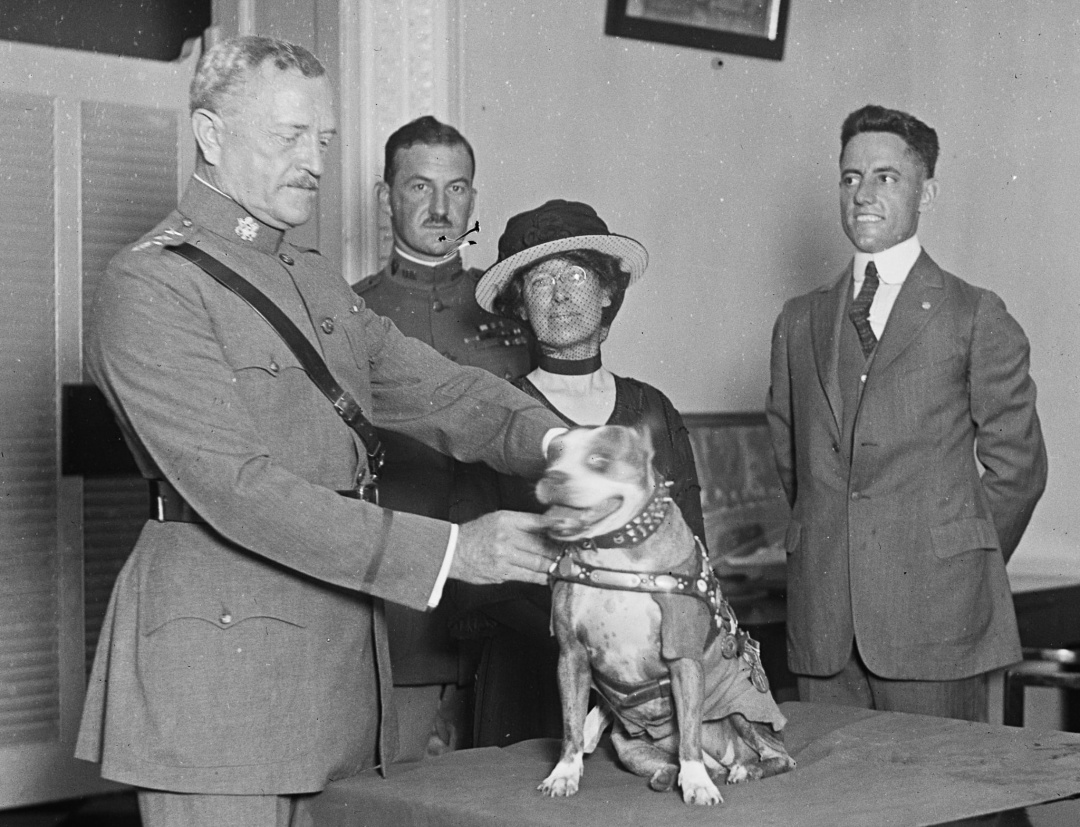 Генерал Джон Першинг нагороджує сержанта Стаббі медаллю на церемонії у Білому домі, 1921 р. Фото: wikipedia