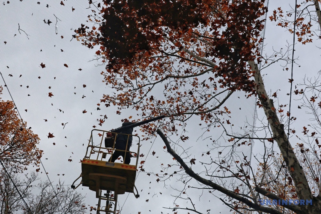 Фото: Ніна Ляшонок