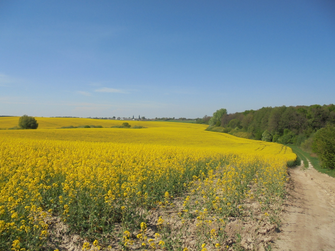 Землі хутора Високого в наші дні