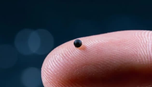 Фото: nature.com