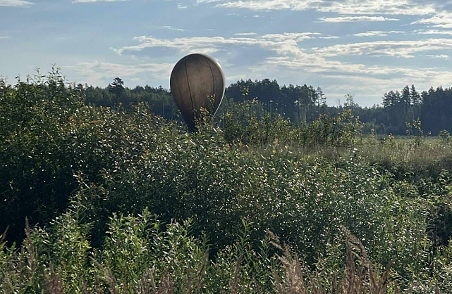 Литва планує звернутися до Міжнародного суду ООН через метеокулі з Білорусі