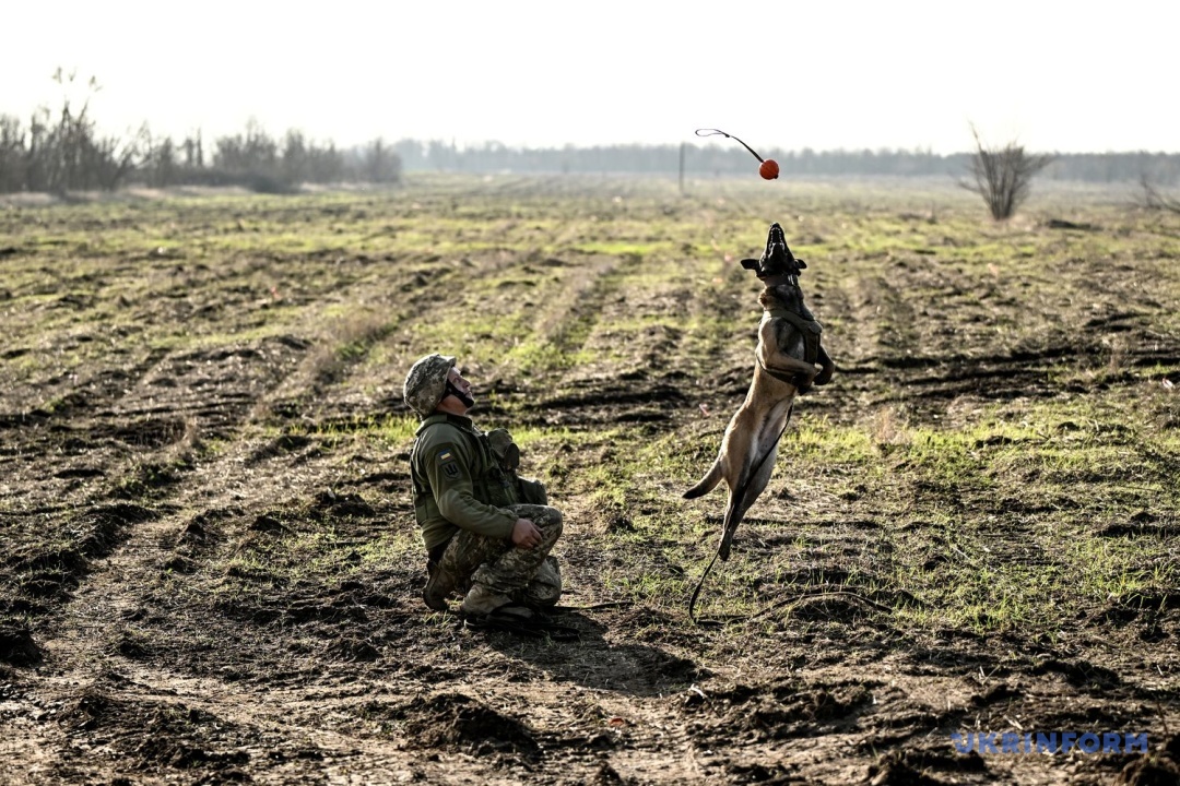 Фото: Дмитро Смольєнко
