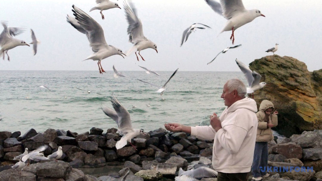 Фото: Юлій Зозуля