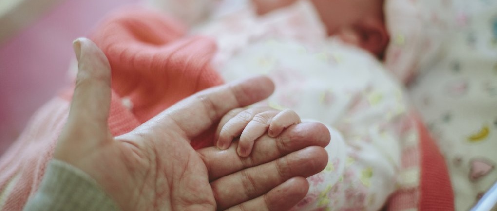 1080_460_1763407800-200