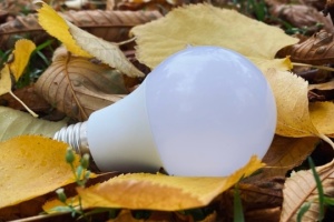 Czy taryfy za energię elektryczną wzrosną w 2026? Prognoza Narodowego Banku Ukrainy