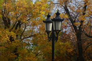 В Україні завтра переважно без опадів, вдень до +14°