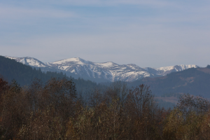 На Закарпатті стався землетрус