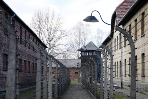 У Німеччині скасували аукціон документів жертв нацизму