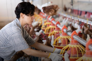 Переробні підприємства отримають ще 217 мільйонів грантів на розвиток та відновлення