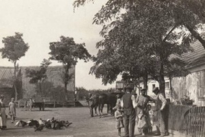 Як німці в Україні щастя шукали