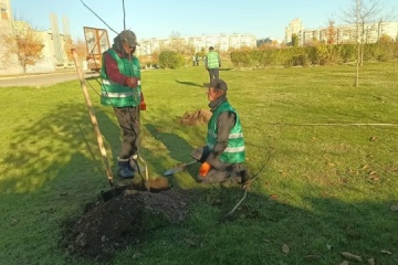 À Kherson, la vie reprend racine : 200 arbres pour le parc Tavriisky meurtri par la guerre 