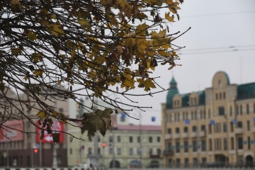 В Україні завтра без опадів, удень подекуди до +12°