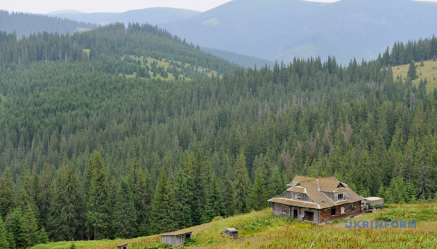 Dochody z podatku turystycznego na Ukrainie wzrosły w tym roku o 35,7%