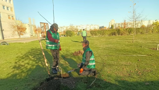 У Херсоні висадили дві сотні дерев у парку Таврійський, який постраждав від обстрілів і пожеж