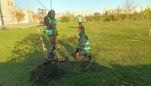 À Kherson, la vie reprend racine : 200 arbres pour le parc Tavriisky meurtri par la guerre 