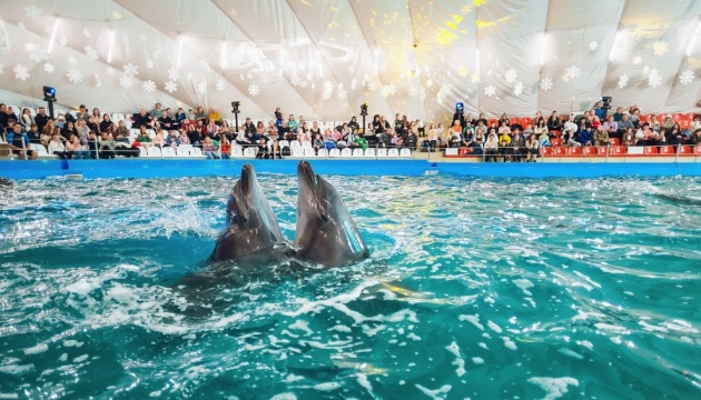 В Одесі за борги майже ₴12 мільйонів арештували будівлю дельфінарію «Немо»