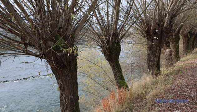 В Україні в понеділок переважно без опадів, вночі до -3°, вдень до +9°