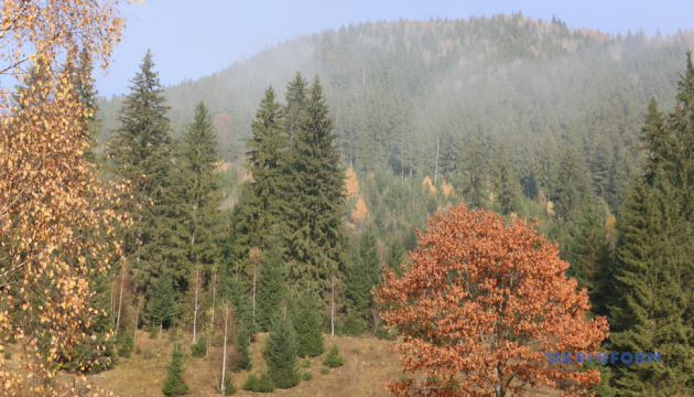 Рекордного потепління в Україні немає, з наступного тижня очікується зниження температури